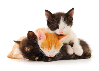 Three little kittens lies.