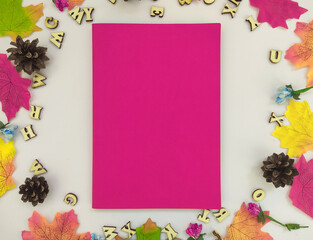 From above of autumn frame made of leaves and decorative elements