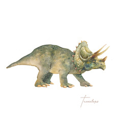 Triceratops illustration. Watercolor prehistirical reptile isolated on white background. Dinosaur era collection