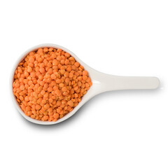 white cup full of red lentils isolated on white. top view