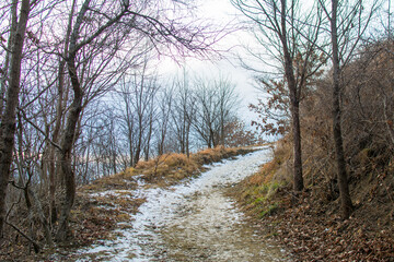 Kislovodsk, Russia. December 28, 2018. Terrenkur - trail in the mountains of Kislovodsk in winter.