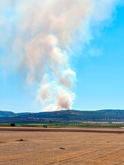 Forest fire broke out in the hills of a nature reserve. Burning trees in the nature park on a summer day.