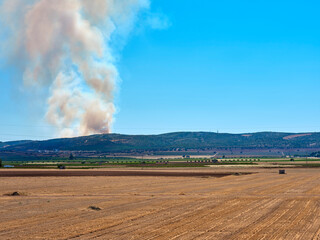 Forest fire broke out in the hills of a nature reserve. Burning trees in the nature park on a summer day.