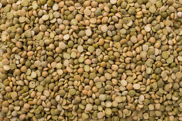 Green Uncooked Lentil Background
