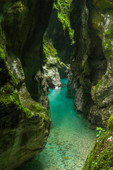 Naklejka premium Tolmin Gorge Canyon in Slovenia Soca Valley. Wild Nature in Triglav Park