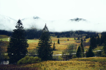 GERMANY, MUNCHEN: Scenic landscape view of autumn foggy Bavarian Alp mountains  