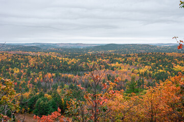autumn landscape from the top of a mountain