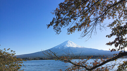 Mount fuji at Lake kawaguchiko in Japan.