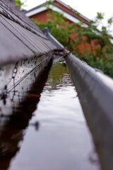 A portrait of a clogged roof gutter full of rain water during a rainy and cloudy day. The bottom of...