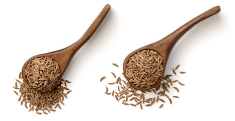 dried caraway seeds in the wooden spoon, isolated on white, top view