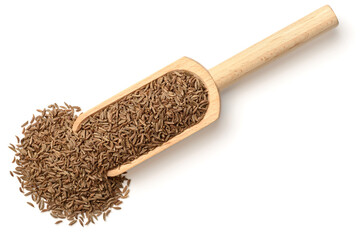 dried caraway seeds in the wooden spoon, isolated on white, top view