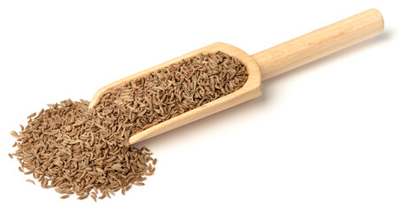 dried caraway seeds isolated on white