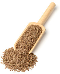 dried caraway seeds isolated on white