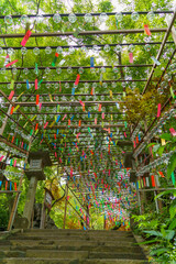 Fototapete bei efototapeten.de bestellen   