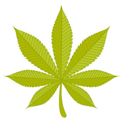 Cannabis leaf. Vector icon illustration.