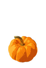 Illustration of Vibrant Orange Color Ripe Pumpkin Isolated on White Background