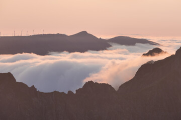 Beautiful landscape in Madeira. Mountains, trees, pastures.
Madeira is known as the island of eternal spring.