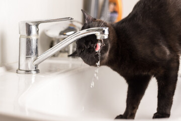 A black cat drinks water from the faucet of the sink in the bathroom