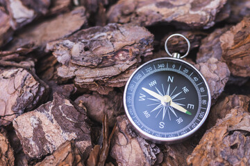 Vintage compass lying on the bark of a tree. Abstract image. Hikers Equipment. Travel and...