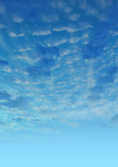 秋の青空うろこ雲