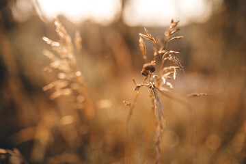 fall