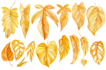 Set of autumn dry leaves, watercolor yellow leaves
