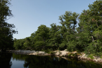 The river of La Garganta de los Caballeros in the Sierra de Gredos. Castile and Leon. Avila. Spain