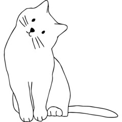 猫