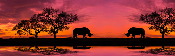 Fototapeta na wymiar Amazing safari.Panorama silhouette tree in africa with sunset.Dark tree on open field dramatic sunrise.Safari theme.Giraffes , Lion , Rhino.with blur shadow.