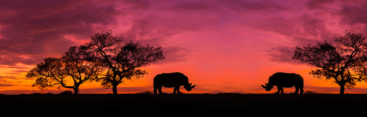 Fototapeta premium Amazing safari.Panorama silhouette tree in africa with sunset.Dark tree on open field dramatic sunrise.Safari theme.Giraffes , Lion , Rhino.with blur shadow.
