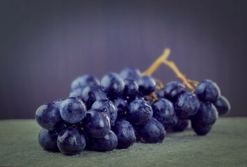 Close-up image of a vine with clusters of ripe grapes