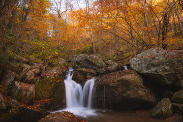 Fototapeta na wymiar Shenandoah Mountain, Fall 