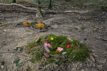 frisches urnengrab im ruhewald rheinhessische schweiz