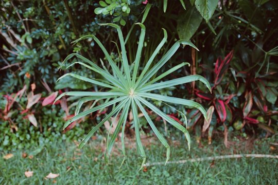 Processed with VSCO with c8 preset