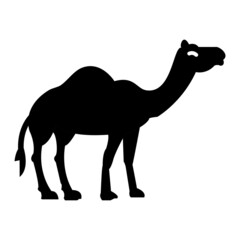 Vector Camel Glyph Icon Design