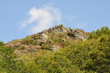 Landes de Liscuis at Bon Repos sur Blavet in Brittany