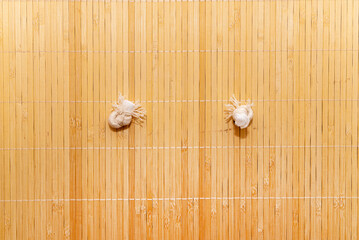 In the middle two tied knots on vertical yellow bamboo laths.texture, background of brown bamboo.creative concept