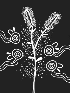 Aboriginal black and white Bottle brush tree art - Illustration