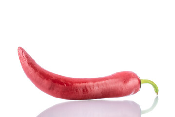 One  pod of hot red pepper, close-up, isolated on white.