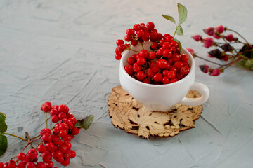 Autumn concept. A branch with rowan berries in a white mug on a wooden stand