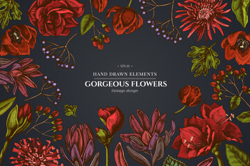 Floral design on dark background with viburnum, hypericum, tulip, aster, leucadendron, amaryllis - obrazy, fototapety, plakaty
