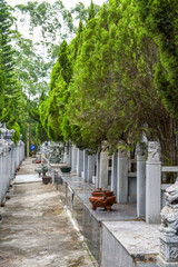 Rows of stone tombstones in a public cemetery