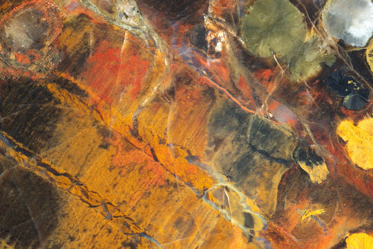 Natural stone background. Full-screen close-up texture of brown-orange-yellow silicified petrified wood with holes of woodworms and translucent chalcedony in cracks, from the Crimea.
