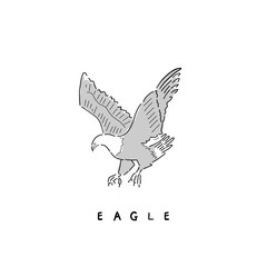 Illustration of flying eagle isolated on white background. Vector illustration of hand-drawn icon