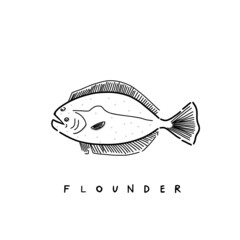 Vector illustration icon of flounder. Hand drawing digital illustration. 