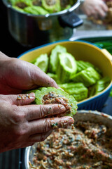 A chef is making a traditional Chinese dish from Guangxi, bitter gourd stuffed with meat