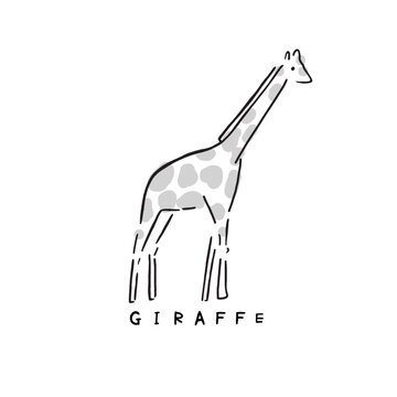 Animal hand-drawn vector sticker icon on white background with hand writing letters. - Giraffe - Simple and heartwarming line drawing art. 