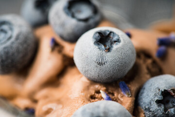 Macro shot of chocolate ice cream with blueberries and lavender flowers. Selective focus. Shallow depth of field.