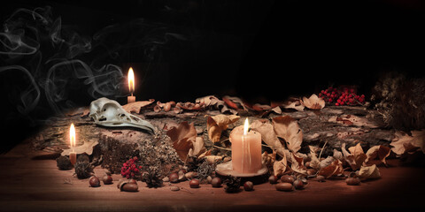 Altar of forest witch. Samhain pagan ritual. Birds skull, ashberry, acorns, dry herbs, pine bark...