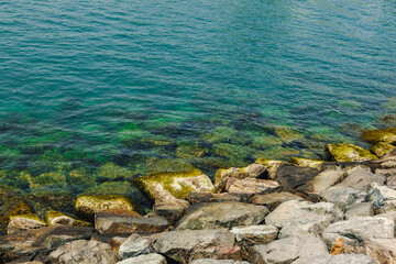 Close up of stones and clear water on the shore of a beach